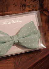 Silk Pre-Tie Bow Tie - Mint